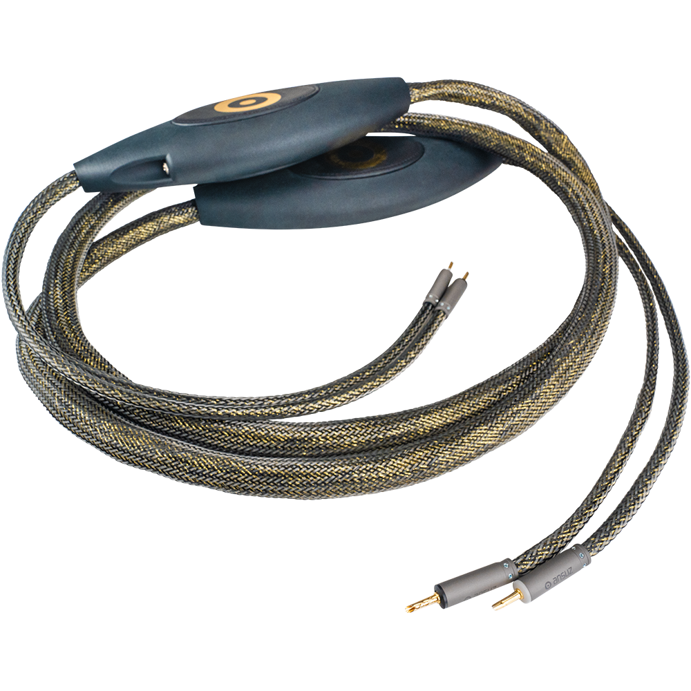 D-TC3 Gold Signature